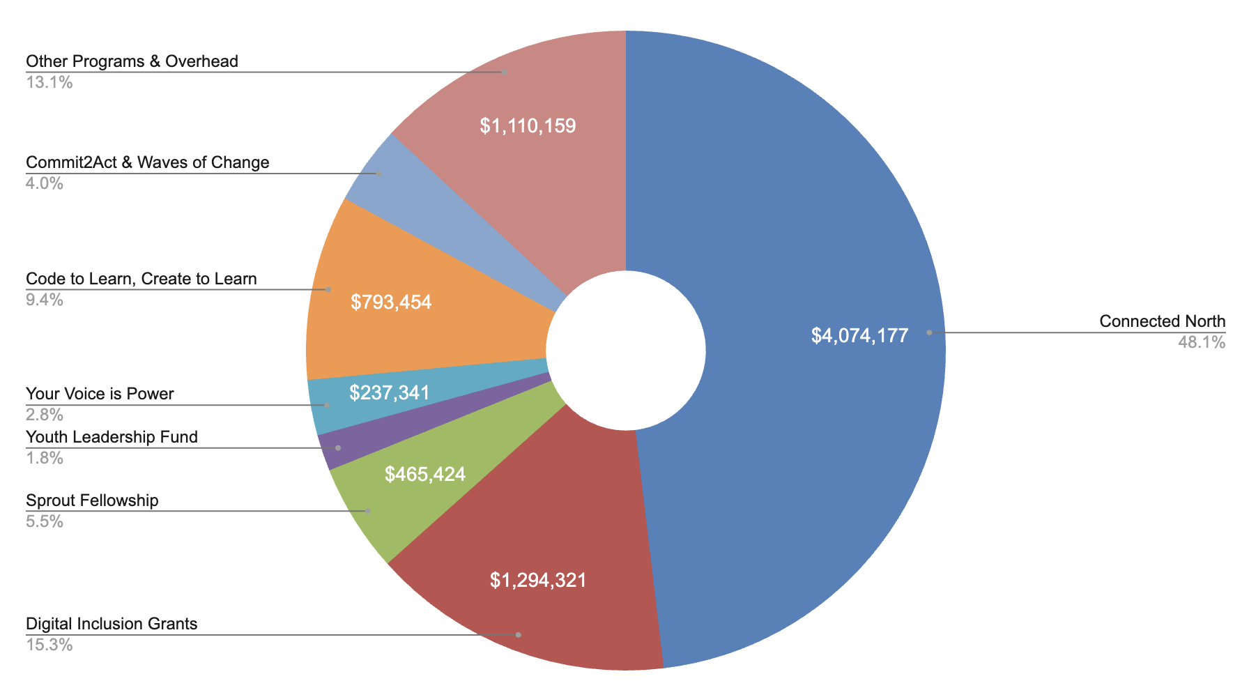 A chart outlining expenses by TakingITGlobal program areas